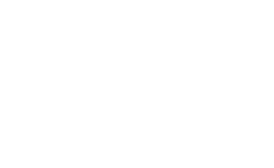 T2T Polyster